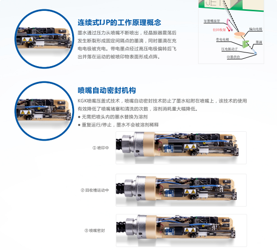 QQ_1780919819156.png